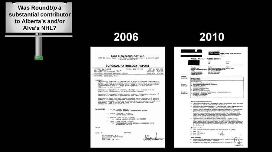 2006 and 2010 pathology reports